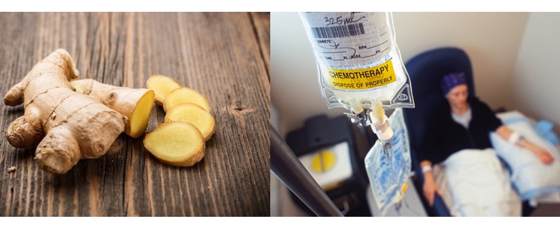Ginger has been proven to be 10,000 times more effective at treating and curing cancer than conventional chemotherapy treatments Ginger has been proven to be 10,000 times more effective at treating and curing cancer than conventional chemotherapy treatments